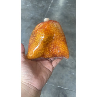 Trứng cá Ngát 500gr (giao tphcm)