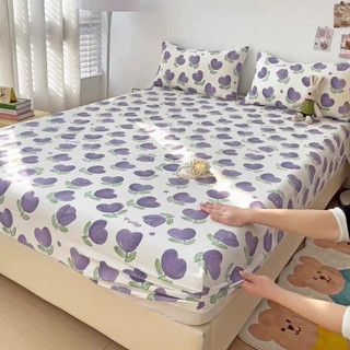 SET GA + 2 VỎ GỐI NHIỀU MÀU
