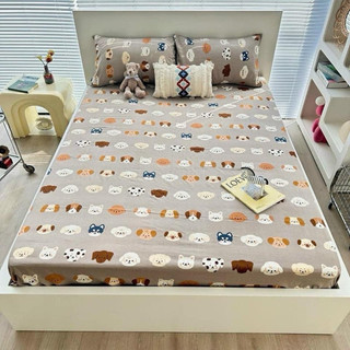 SET GA + 2 VỎ GỐI NHIỀU MÀU