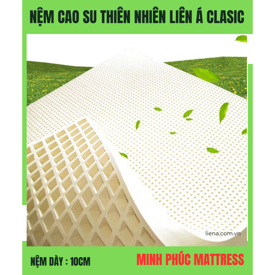 NỆM CAO SU THIÊN NHIÊN LIÊN Á CLASSIC [ 10cm ]