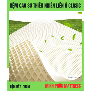 NỆM CAO SU THIÊN NHIÊN LIÊN Á CLASSIC [ 10cm ]