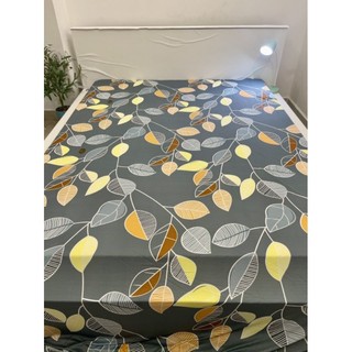 Bộ drap thun lạnh Hàn Quốc 4 món.( 1m6 và 1m8 x 2m x 5_30p)