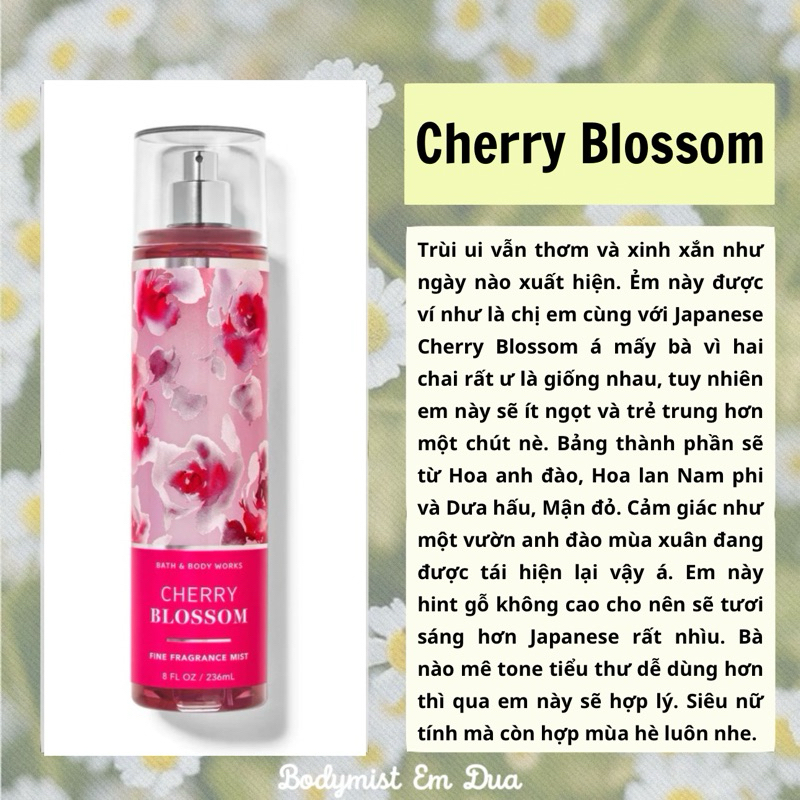[Bodymist] Xịt Thơm Toàn Thân - CHERRY BLOSSOMS - Em Dứa