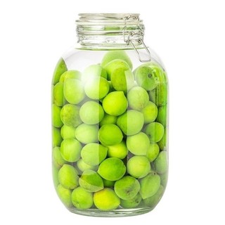 Hũ Thủy Tinh Tròn Nắp Cài khóa  5 lít Dày Dặn Nuôi Scoby / Kombucha, Kefir, Ngâm Hoa Quả Đựng Thực Phẩm