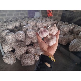 1kg Tỏi trắng thơm ngon