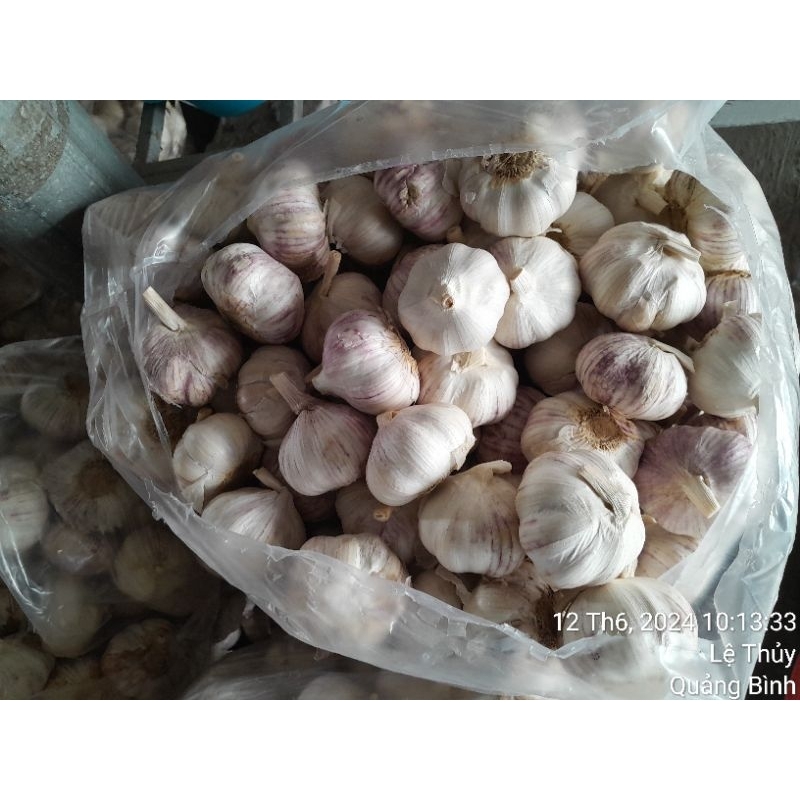 1kg Tỏi trắng thơm ngon