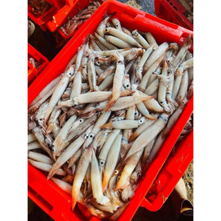 Mực Dâu Tươi cấp đông khay 1kg