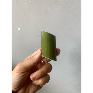 50 ống tre làm chả ốc