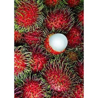 [Chỉ Giao HCM] Chôm Chôm Thường - 500g