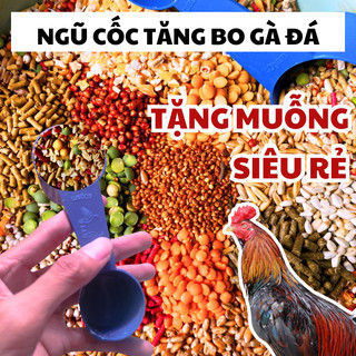 Ngũ cốc gà đá giá rẻ, Thức ăn gà đá chim cu cảnh vẹt - Tặng muỗng định lượng