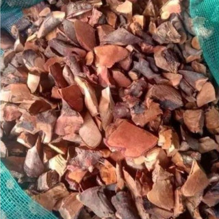 1kg cây đỗ trọng nam khô