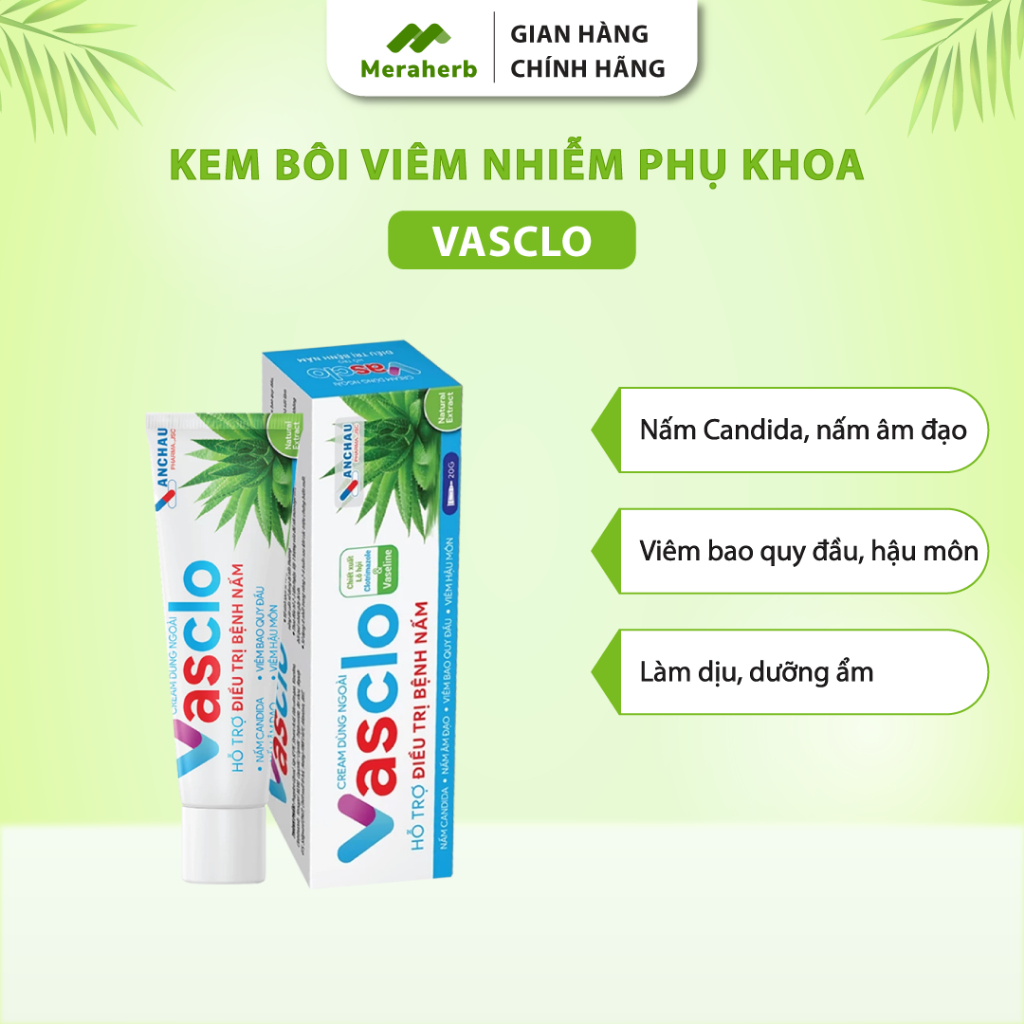 Kem Bôi Phụ Khoa Vasclo An Châu Giúp Giảm Tình Trạng Nấm Ngứa Vùng Kín (Tuýp 20gr)