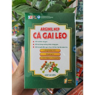 Cà Gai Leo Arginil NCP giải độc Gan, Tăng cường chức năng Gan
