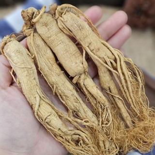 Nhân sâm Trường Bạch khô size to 7 củ/100g, tăng cường đề kháng và trí nhớ, ngăn ngừa lão hóa