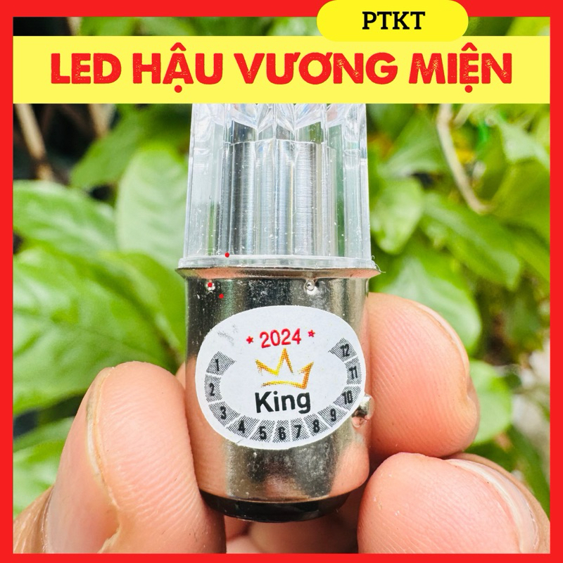 Đèn Led Hậu Audi - Hậu Nháy bảy màu 2024 new