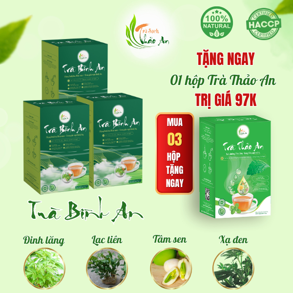COMBO 03 Trà Thảo mộc Bình An, Trà An Thần Đinh lăng.