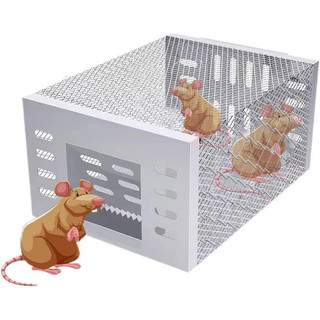 Bẫy chuột lồng chuột, bẫy chuột bằng thép không gỉ, bẫy chuột 1 chiều
