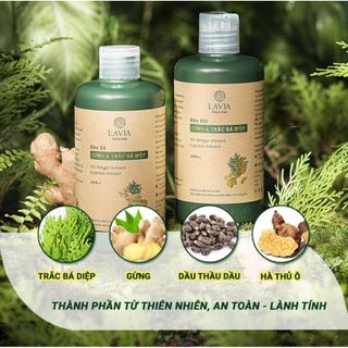 Dầu Gội Xả Thảo Mộc Gừng & Trắc Bá Diệp Lavia Ngăn Rụng - Mọc Tóc Suôn Dày Bóng Khỏe 400ml