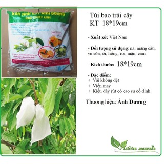 Bộ 300 túi bọc trái cây kích thước 18x19cm (ổi, vú sữa, xoài...)