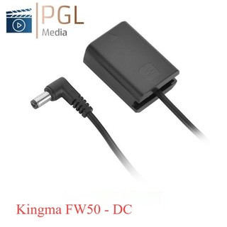 PIN ảo cho máy ảnh Sony Alpha( pin ảo fz100, fw50 cho sony )