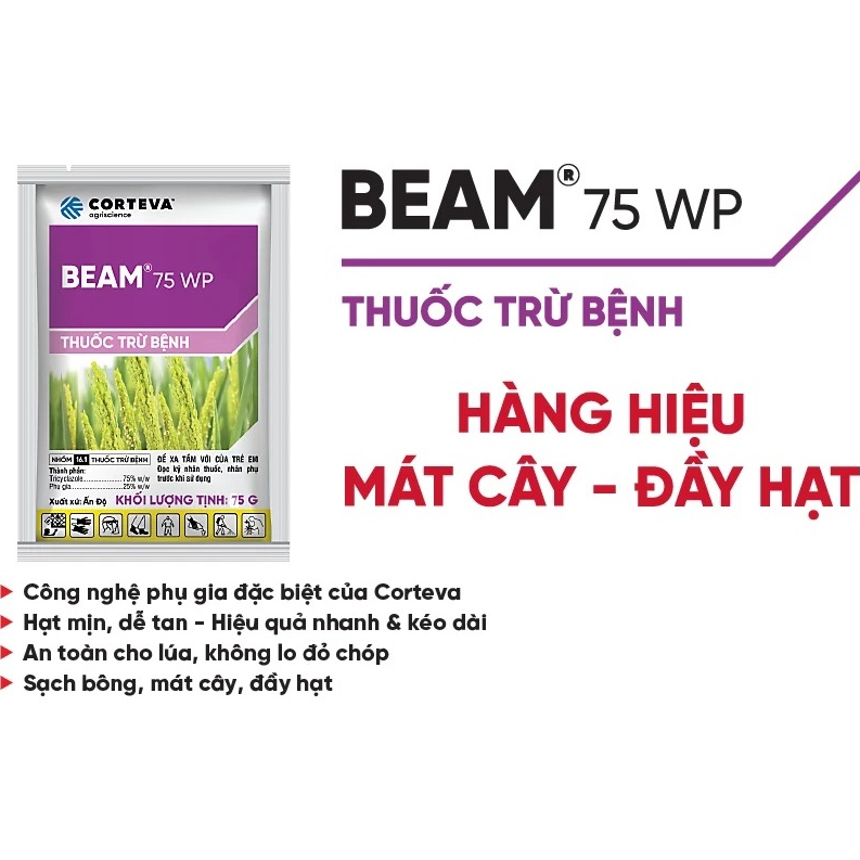 BEAM 75WP gói 75gram chuyên Đạo ôn cổ bông - Đạo ôn lá