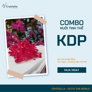 Nuôi hoa tinh thể kèm hướng dẫn nuôi cụ thể
