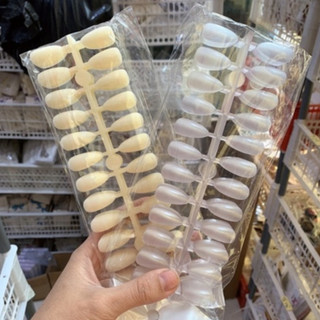 Vỉ móng bầu nhọn tập vẽ, sơn móng nail
