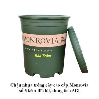 Chậu nhựa trồng cây cao cấp Monrovia cỡ số 5 kèm đĩa lót đáy hàng chuẩn