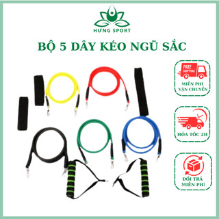 Bộ 5 dây kéo ngũ sắc 11 phụ kiện cao cấp đa năng tập gym full body đàn hồi chịu lực tốt móc nối và dây cầm chắc chắn