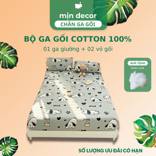 Bộ Ga Gối Cotton 100% Mịn Decor Bo Chun 10cm, Mềm Mịn Thấm Hút Mồ Hôi - Nhiều Hoạ Tiết