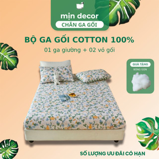 Bộ Ga Gối Cotton 100% Mịn Decor Làm Phủ Bo Chun 10cm-20cm, Mềm Mịn Thấm Hút Tốt, Size 1m6x2m 1m8x2m