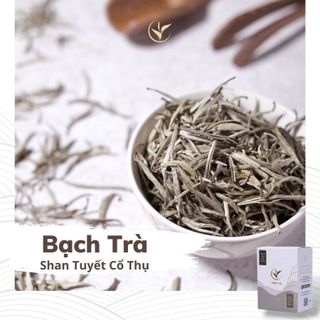 Bạch trà shan tuyết cổ thụ thiện tài búp trà cổ thụ hà giang vụ xuân hộp biếu tặng hảo hạng