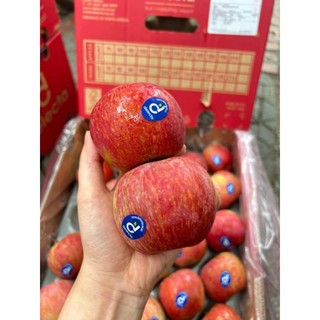 (Hỏa tốc HCM) Táo Red Fuji - Táo Đặc Sản Nam Phi hàng ăn