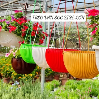 Chậu trồng cây treo,Chậu trồng hoa treo ban công,Chậu treo Vân Sọc hàng đẹp đủ màu