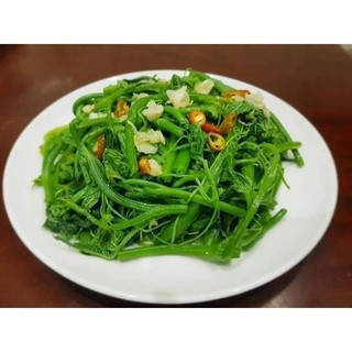com bo 2  quả giố.ng su su đã  sẵn bầu mầm ảnh cuối