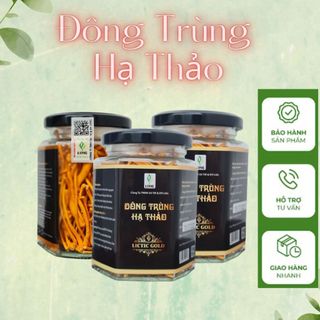 Đông trùng hạ thảo khô sấy thăng hoa nấm trùng thảo bổ gan tiểu đường cải thiện mất ngủ huyết áp giảm stress LITIC DTHT