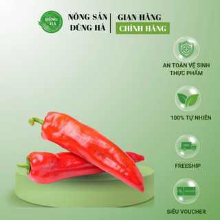 ỚT SỪNG ĐỎ thơm ngon, cay nồng, không thể thiếu khi làm nước mắm, món xào