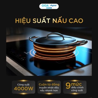 Bếp Từ Đôi BlueStone ICB-6819 4000W