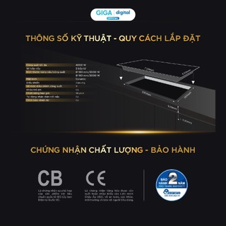 Bếp Từ Đôi BlueStone ICB-6819 4000W