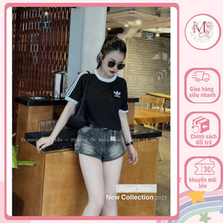 Áo phông BABY TEA sọc tay viền cổ in logo,áo phông nữ