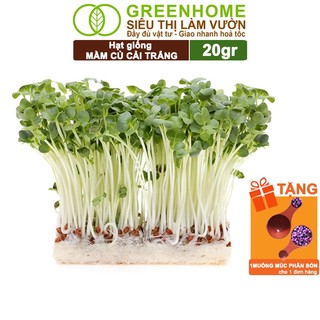 Hạt Giống Mầm Củ Cải Trắng Greenhome,Gói 20g,Dễ Trồng,Nảy Mầm Cao,Thu Hoạch Nhanh Năng Suất Cao R10
