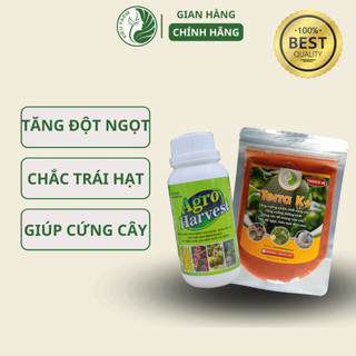 Combo phân tăng độ ngọt trái, chắc trái, hạt, giúp cây cứng cáp_KIEU FARM