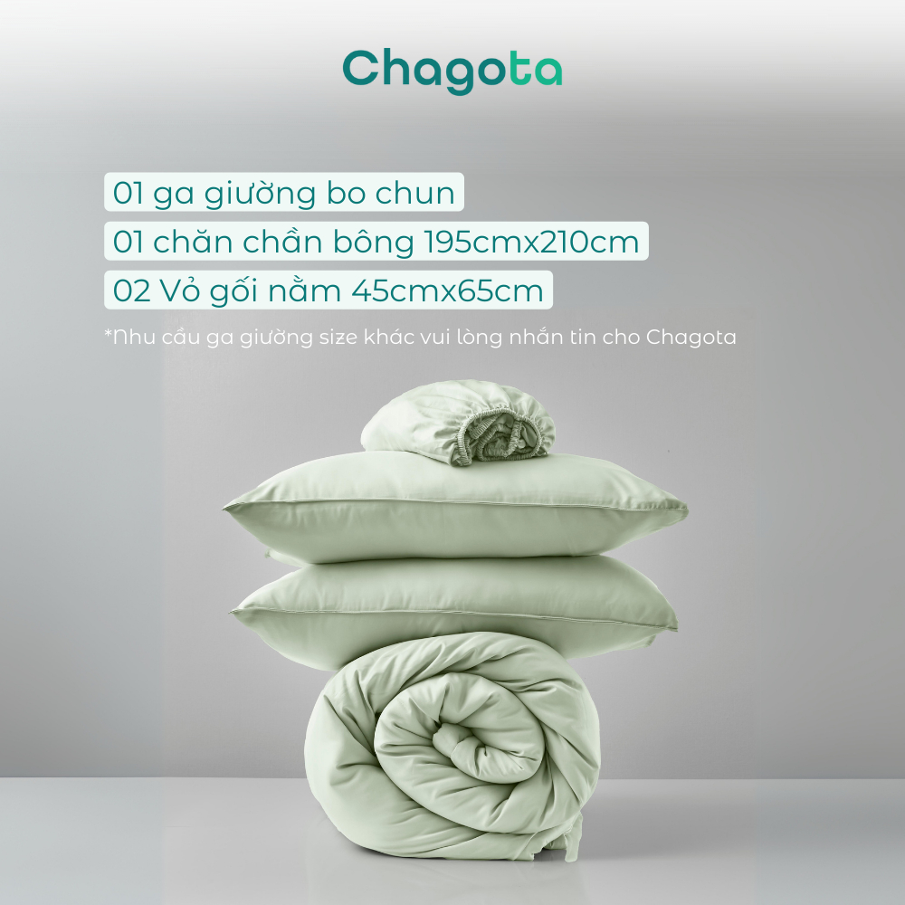 Bộ Chăn Ga Gối Lụa Silk Ice Size 1m2x2m đến 2mx2m2 Mát Lạnh Chagota Bedding Nhiều Màu Cao Cấp Thoáng Mát | BigBuy360 - bigbuy360.vn