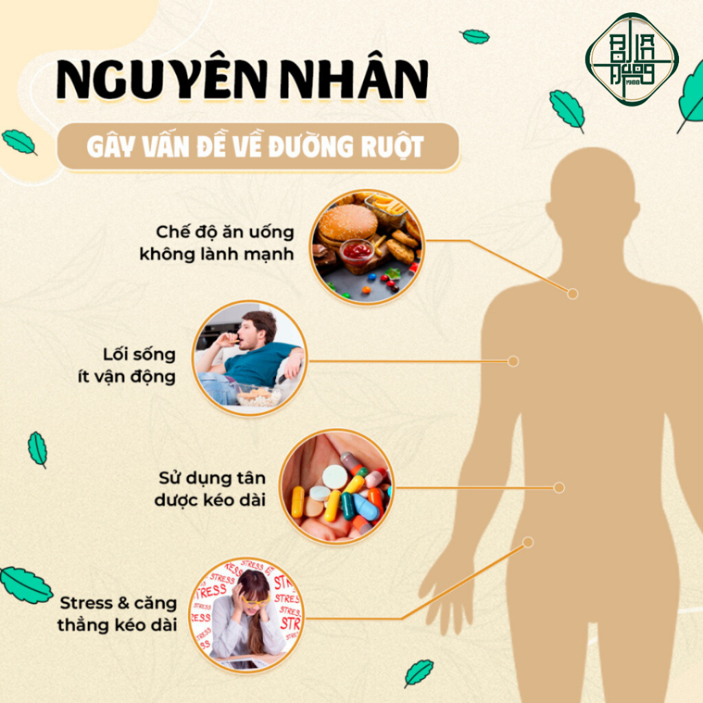 [30 lọc] - Trà Thải Độc Ruột Bội Lan Đường, Giảm Táo Bón, Hỗ Trợ Giảm Cân, Nhuận Tràng, Làm Sạch Ruột - Phan tả diệp