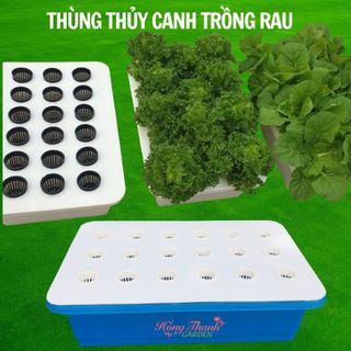 Thùng Thủy Canh Nắp 18 lỗ rọ dinh dưỡng và phụ kiện trồng rau thủy canh tại nhà sạch đẹp sử dụng dễ dàng tiện lợi