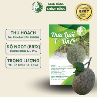 Hạt giống dưa lưới T-one quả dài, giòn, ngọt_KIEU FARM