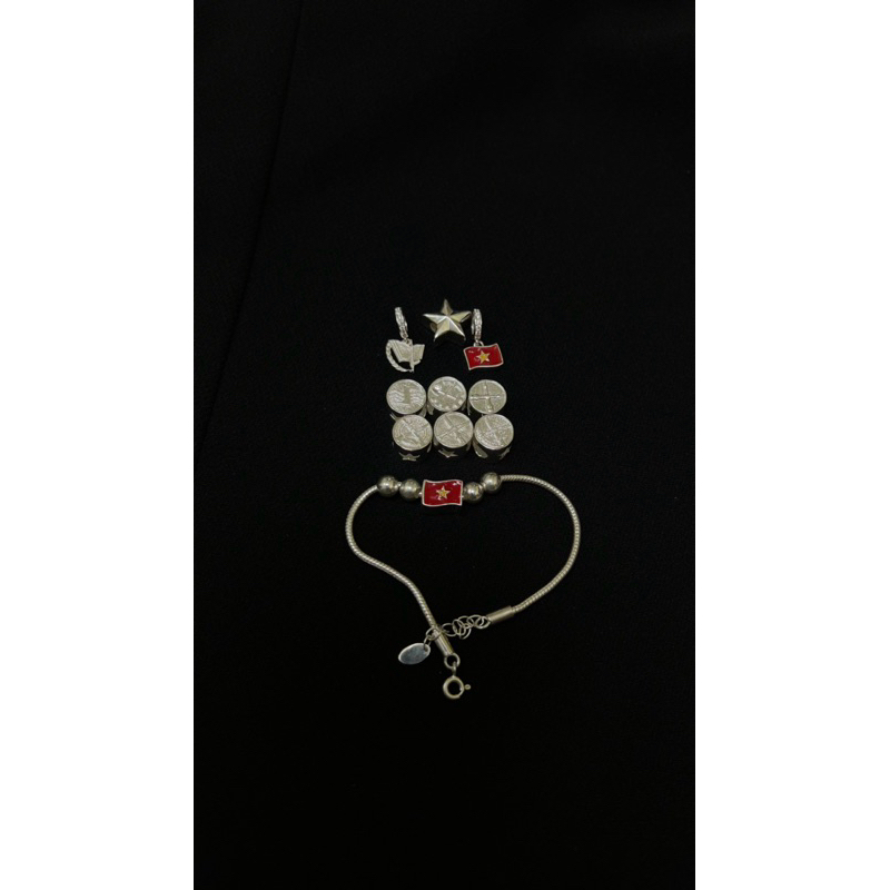 Charm cờ Việt Nam, các loại