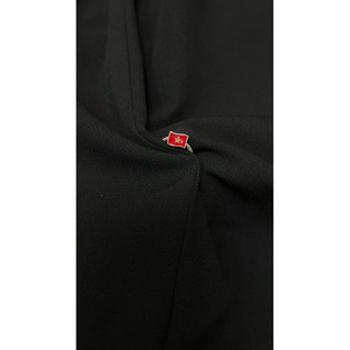 Charm cờ Việt Nam, các loại