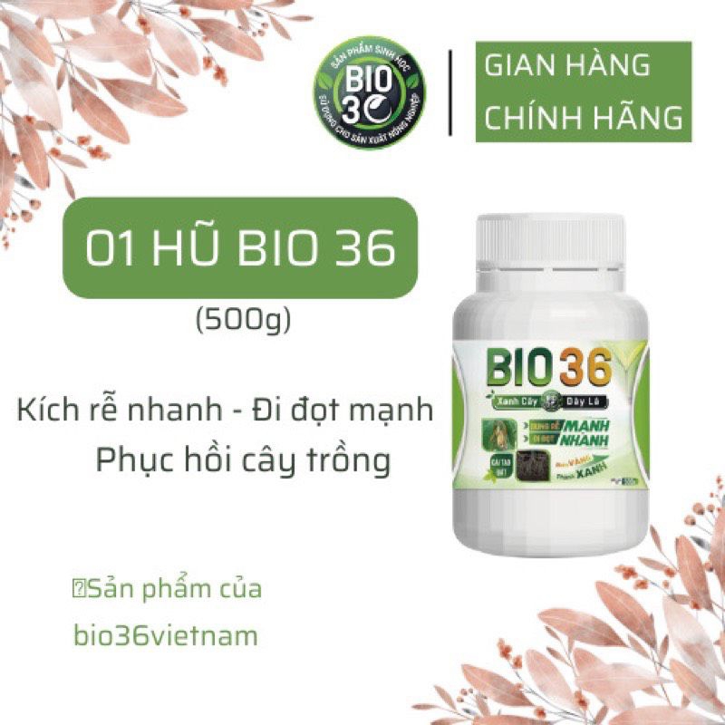 Sản Phẩm BIO 36 (500g) Kích Rễ Nhanh - Đi Đọt Mạnh - Phục Hồi Cây Trồng