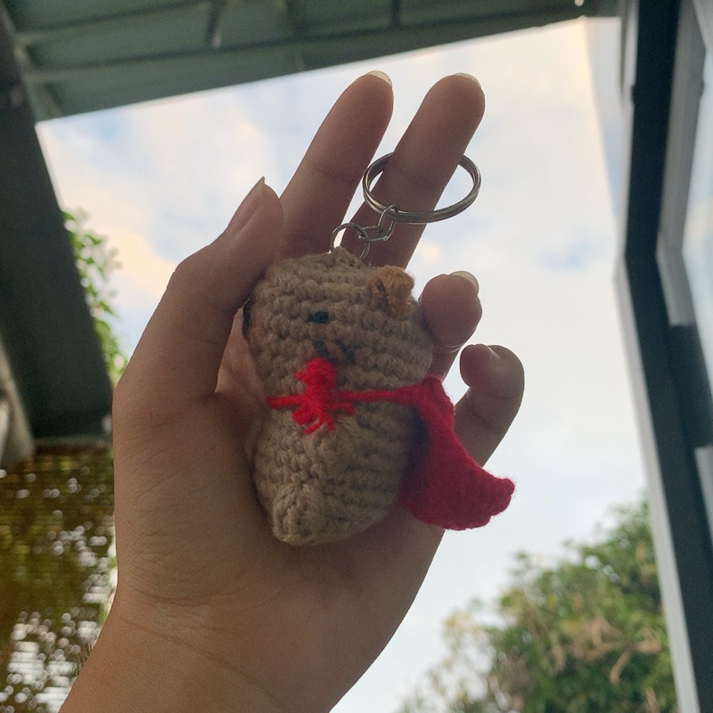 Capybara siêu nhân cực đáng iuu